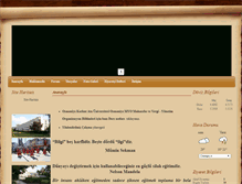 Tablet Screenshot of fevziapaydin.com